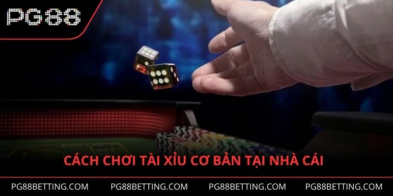 Cách chơi tài xỉu cơ bản tại nhà cái