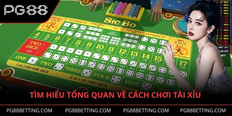 Tìm hiểu để thành viên mới hiểu rõ hơn ở mục cách chơi tài xỉu